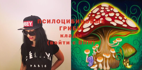 амф Алзамай